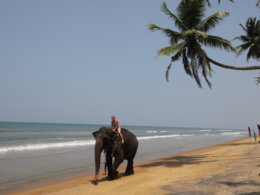 礁别墅及水疗中心酒店主图