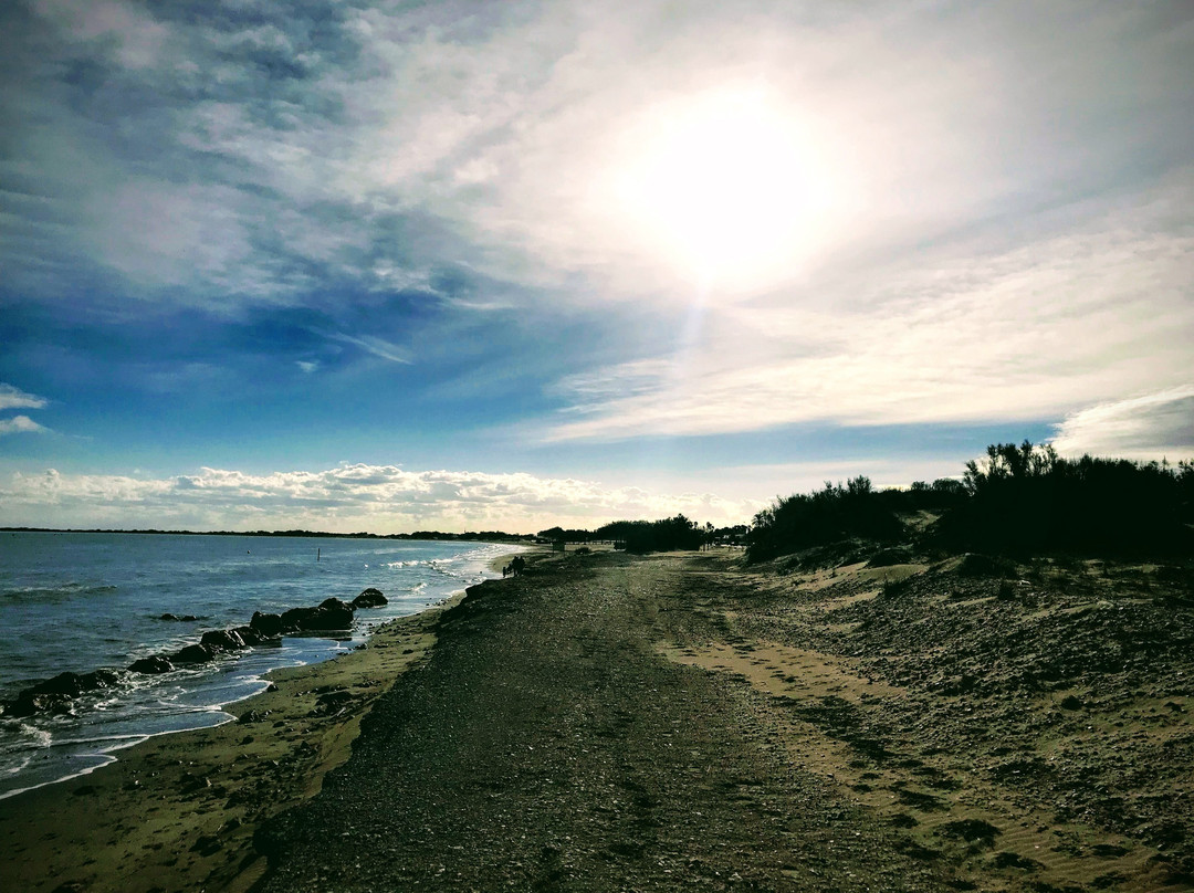 Platja La Marquesa景点图片