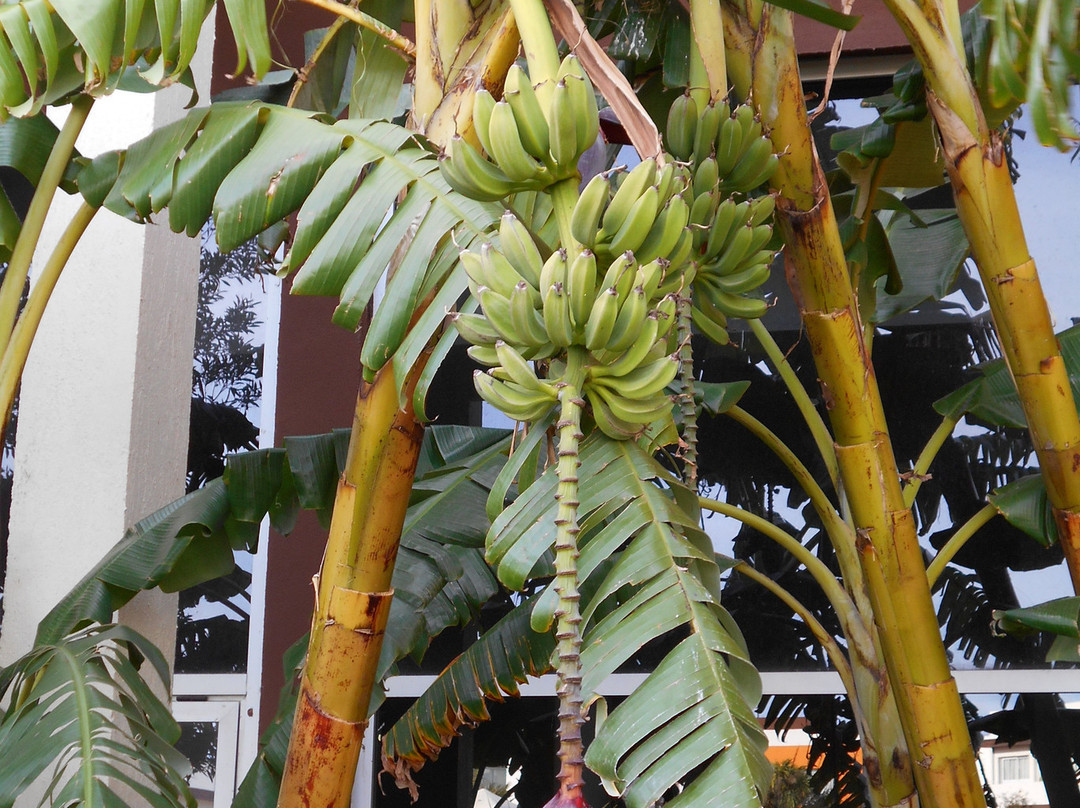 Alto Miramar Resort & Spa主图