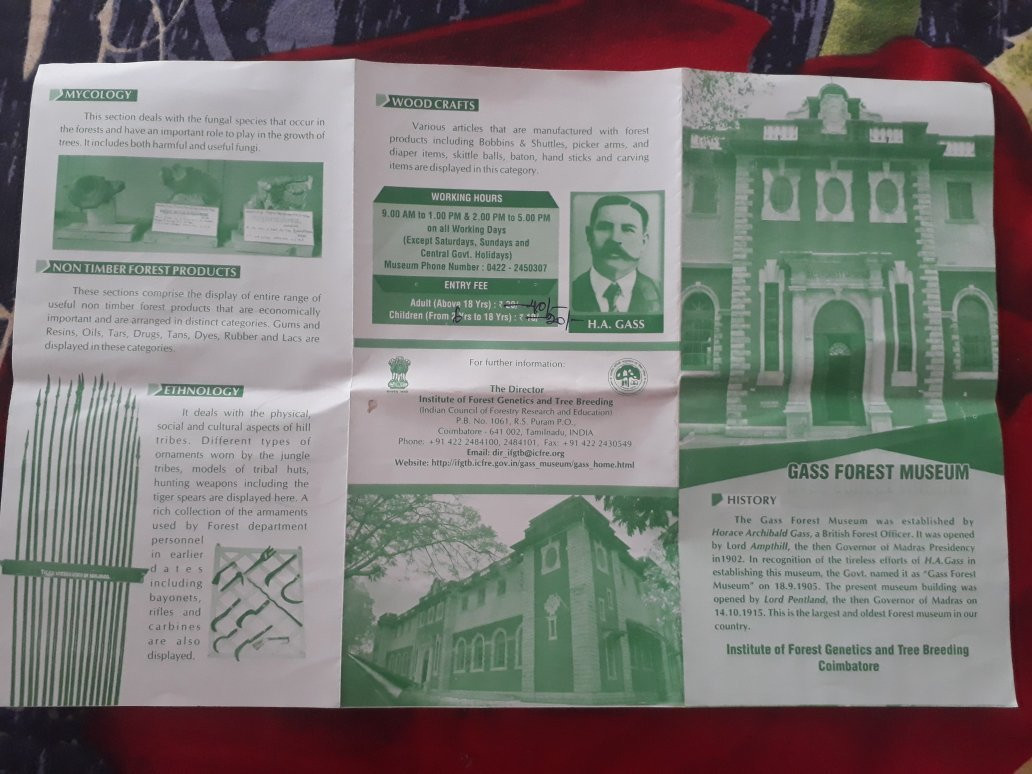 Gass Forest Museum-孔巴托必去景点