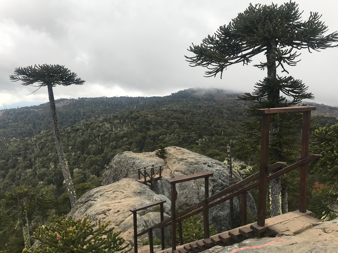 Nahuelbuta Adventure