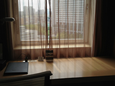 里士满穆山苏轼阁总理酒店主图