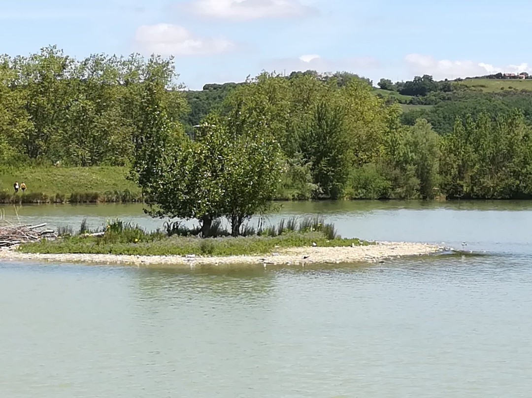 Domaine des Oiseaux景点图片