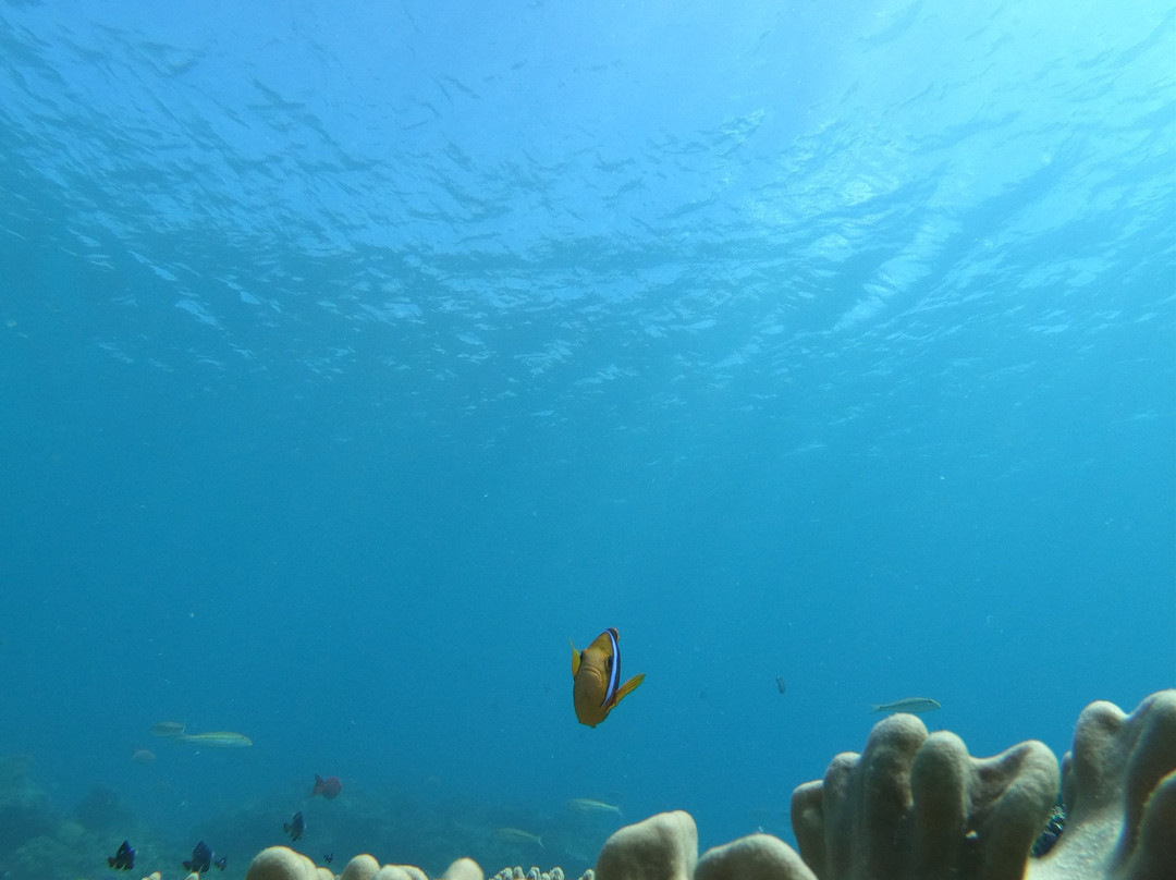 Kitesurf Tonga主图