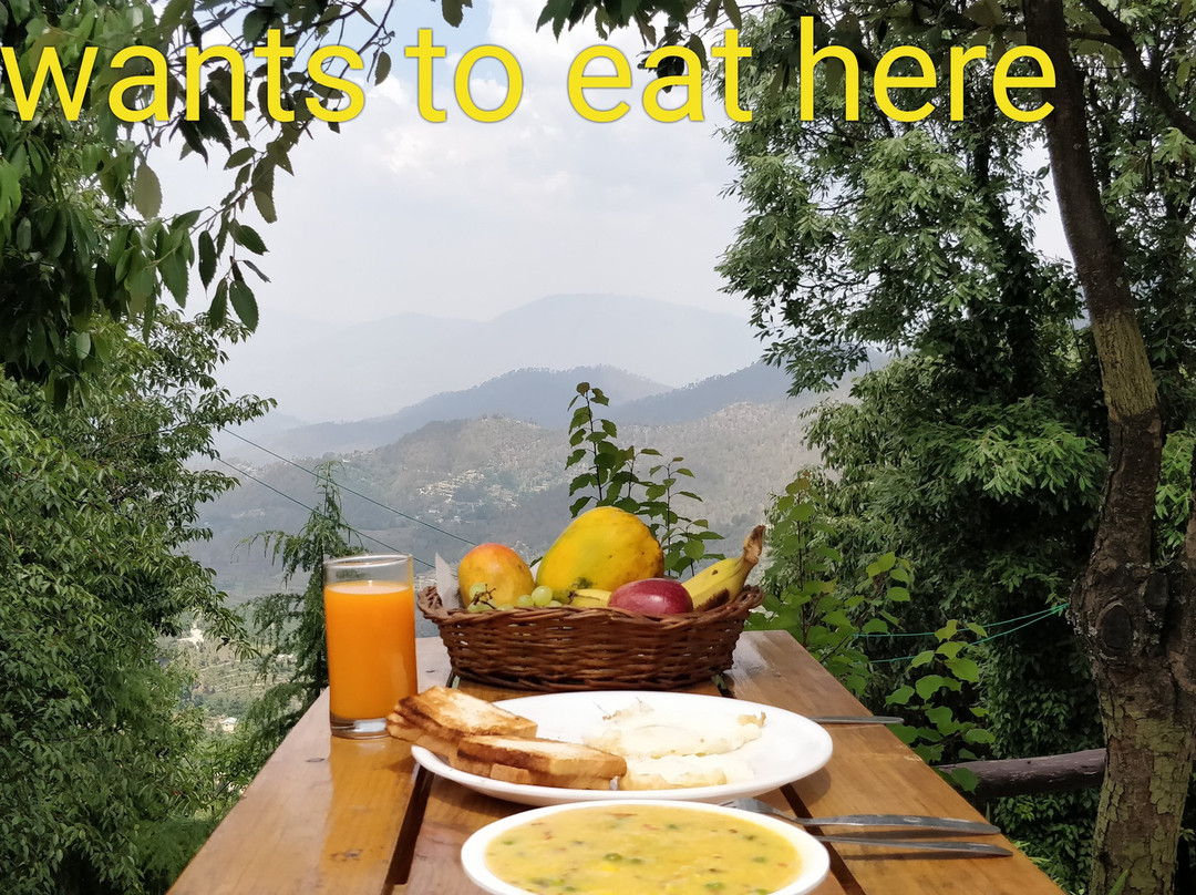 Five Senses Nature Resort主图