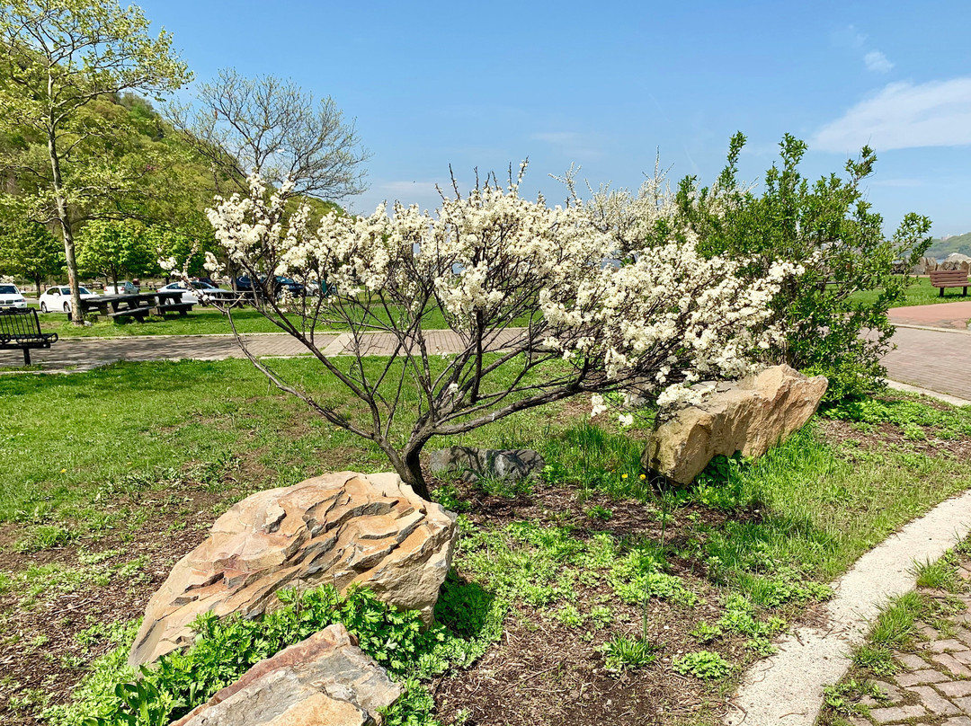 Ross Dock Picnic Area-利堡必去景点