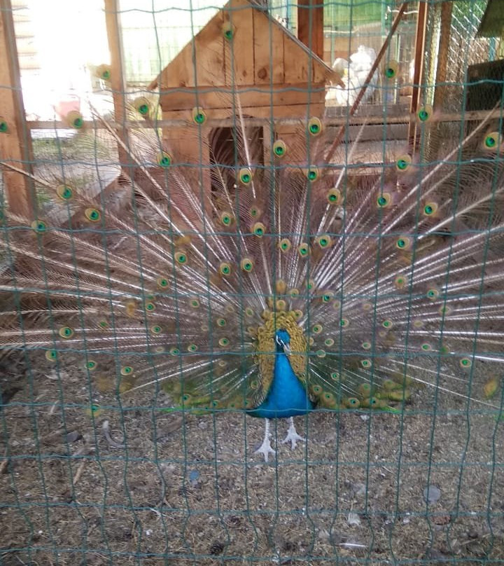 Nika Manor Hotel Complex主图