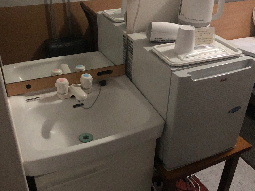 Hotel Kamoike Plaza主图