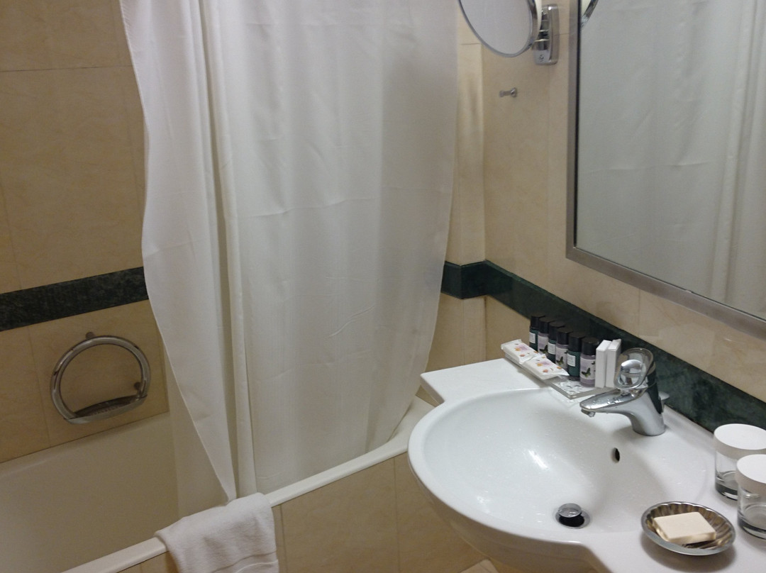 迪瓦尼拉里萨宫殿酒店主图