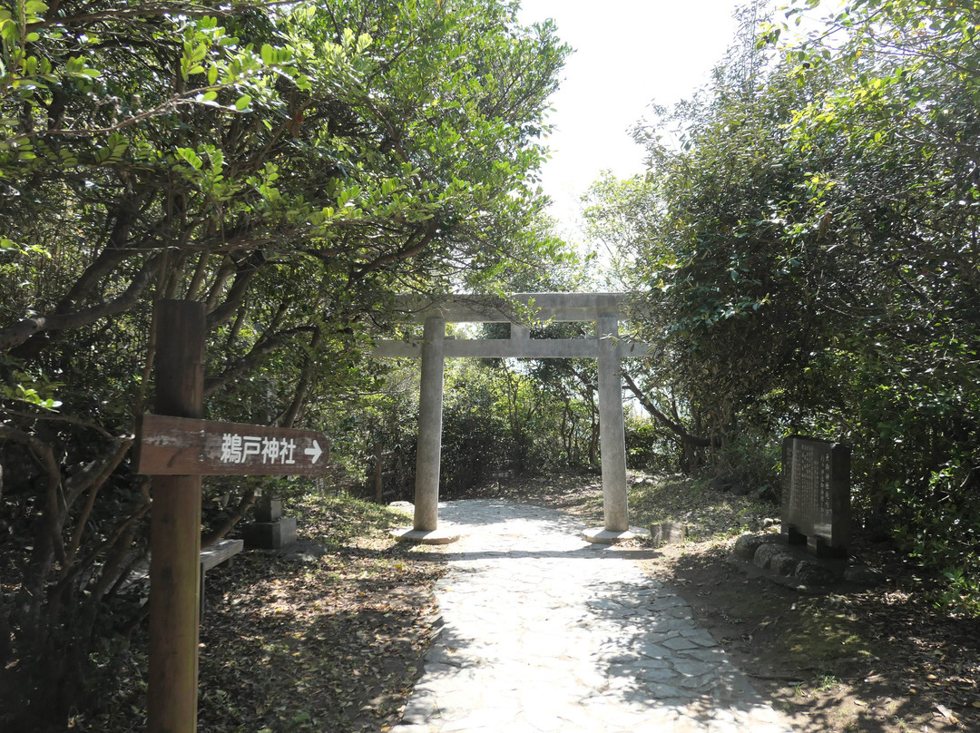 Omi Shrine景点图片