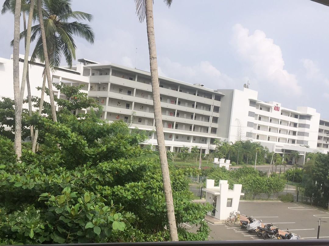 Cango Tour-亚洪加拉必去景点