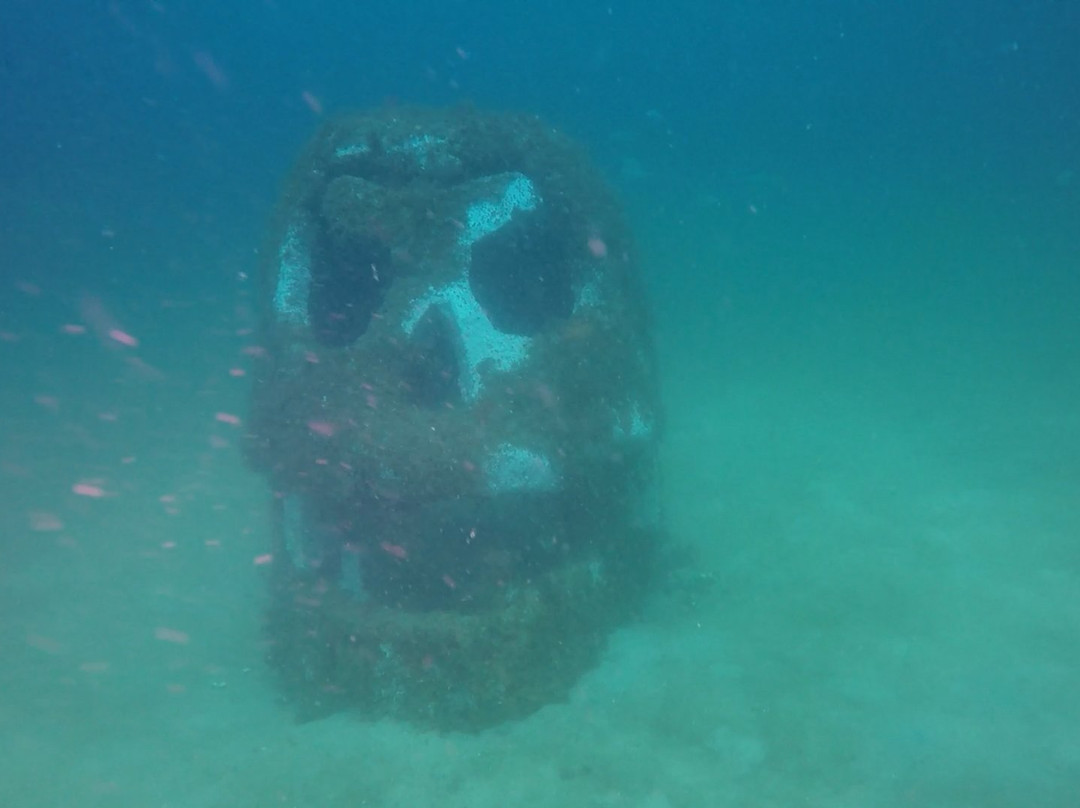 The Underwater Museum Of Art景点图片