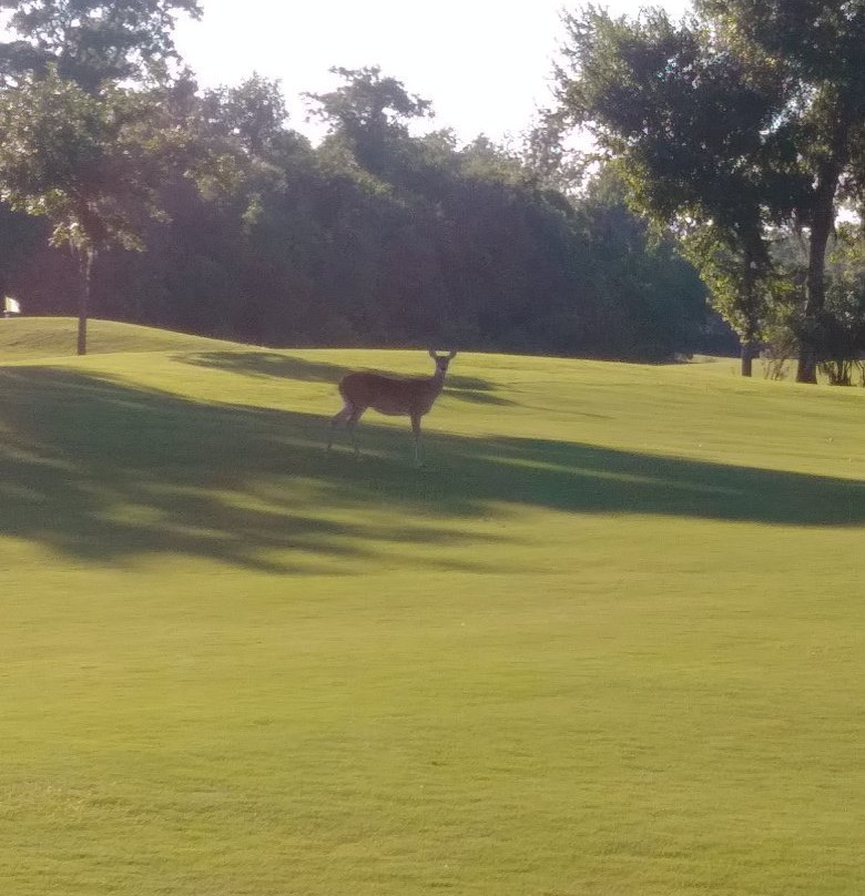 Wilderness Golf Course-Lake Jackson必去景点