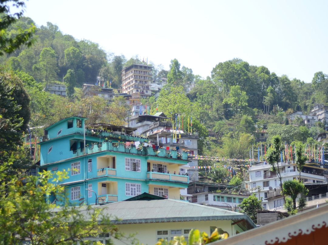 The Planters Home主图