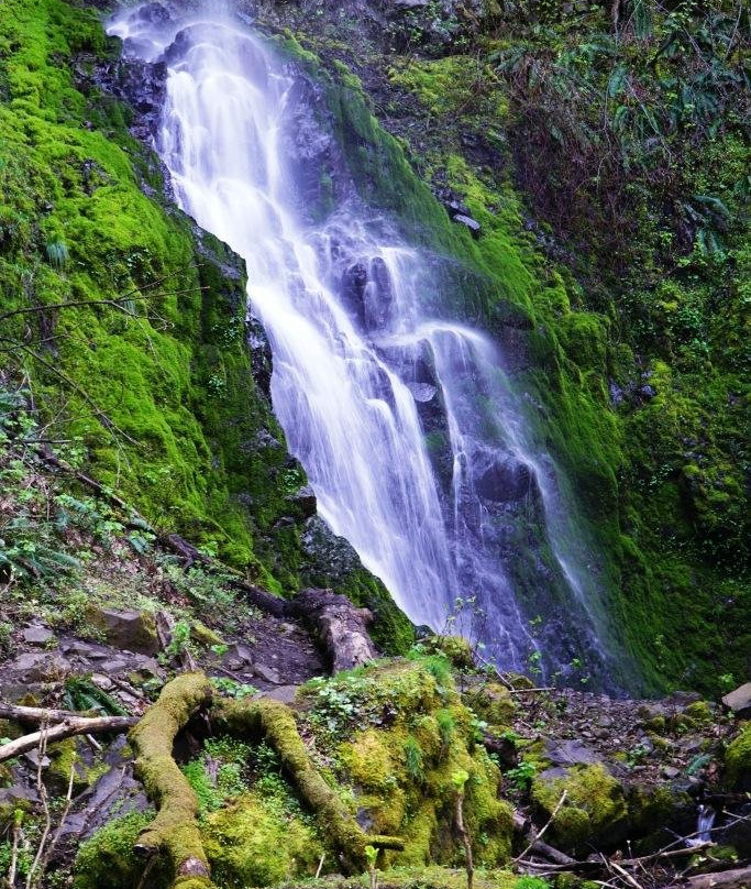 Starvation Creek Ridge Loop-Cascade Locks必去景点