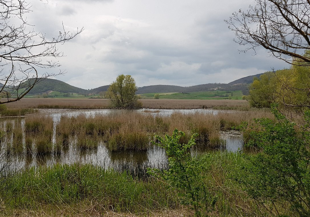 Parco Regionale di Colfiorito景点图片