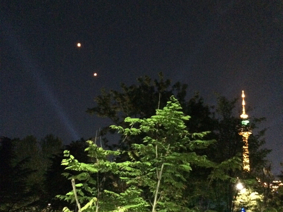 Daegu Duryu Park-大邱必去景点