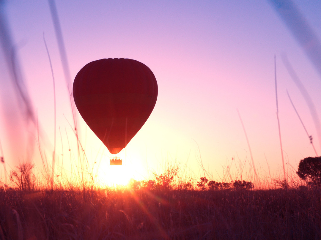 Outback Ballooning-爱丽斯泉必去景点