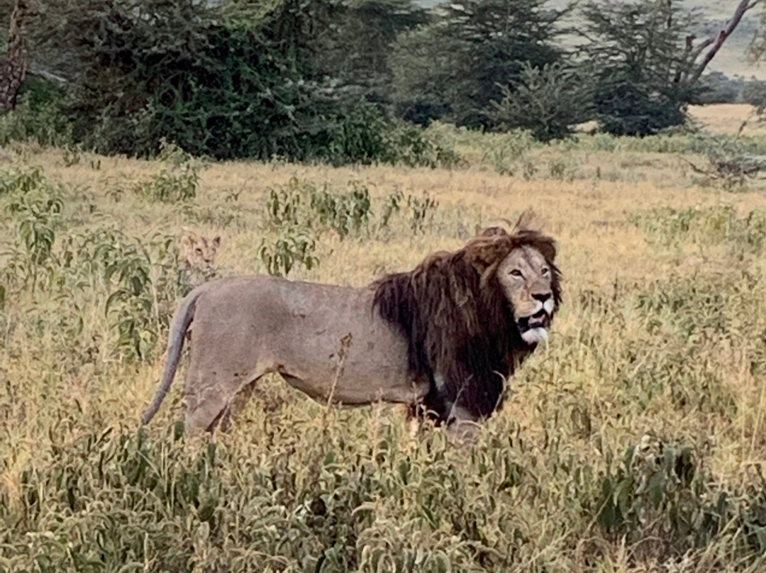 Leopard Tours Limited-阿鲁沙必去景点