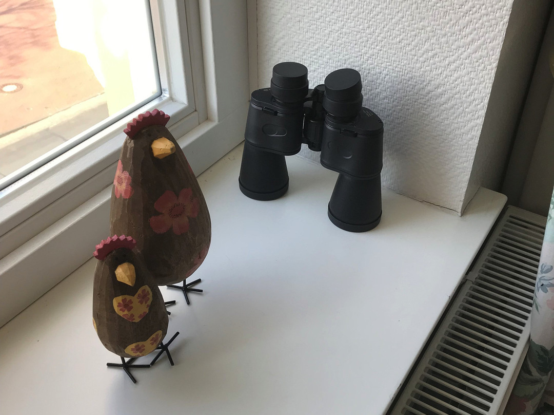 Aparthotel Am Meer主图