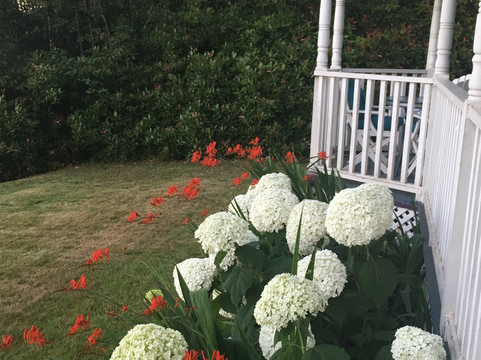 Tayberry Victorian Cottage B&B主图