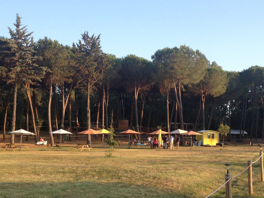 Parco Avventura IndianaPark Latina-拉蒂纳必去景点