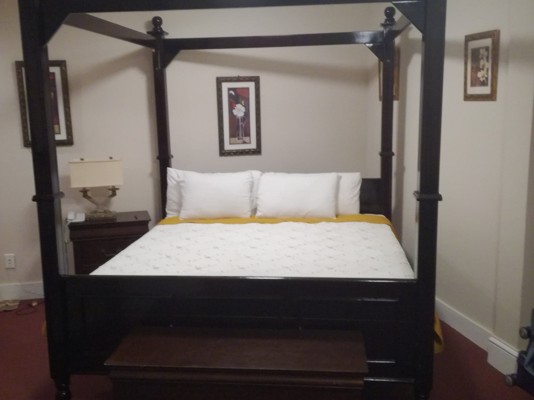 The Eldorado Inn主图