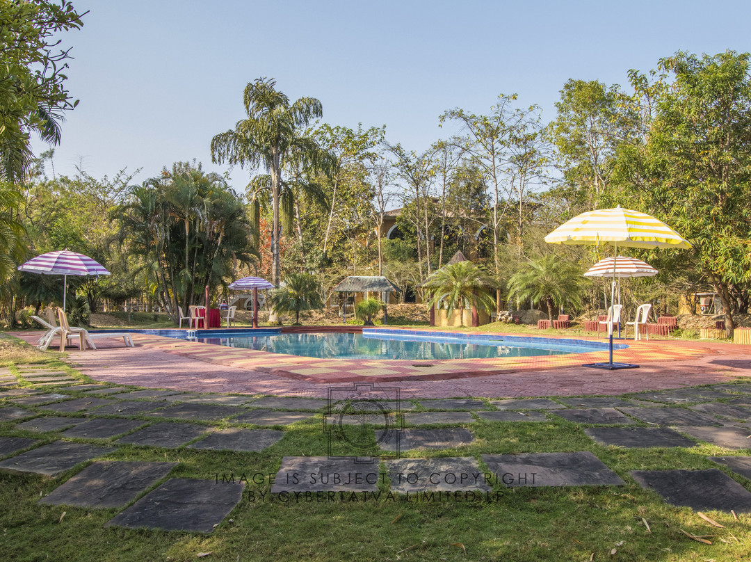 Jungle King Resort主图