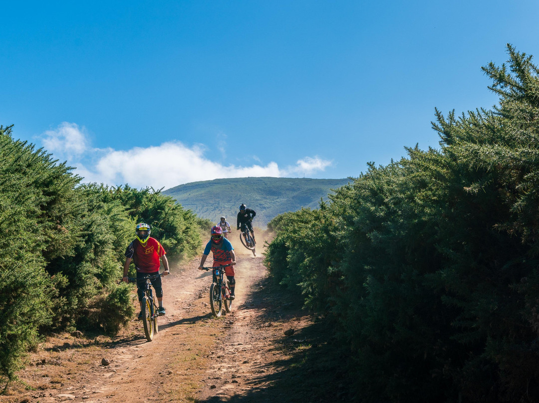 Rideandflow Mountain Biking Madeira Island-沙尔必去景点