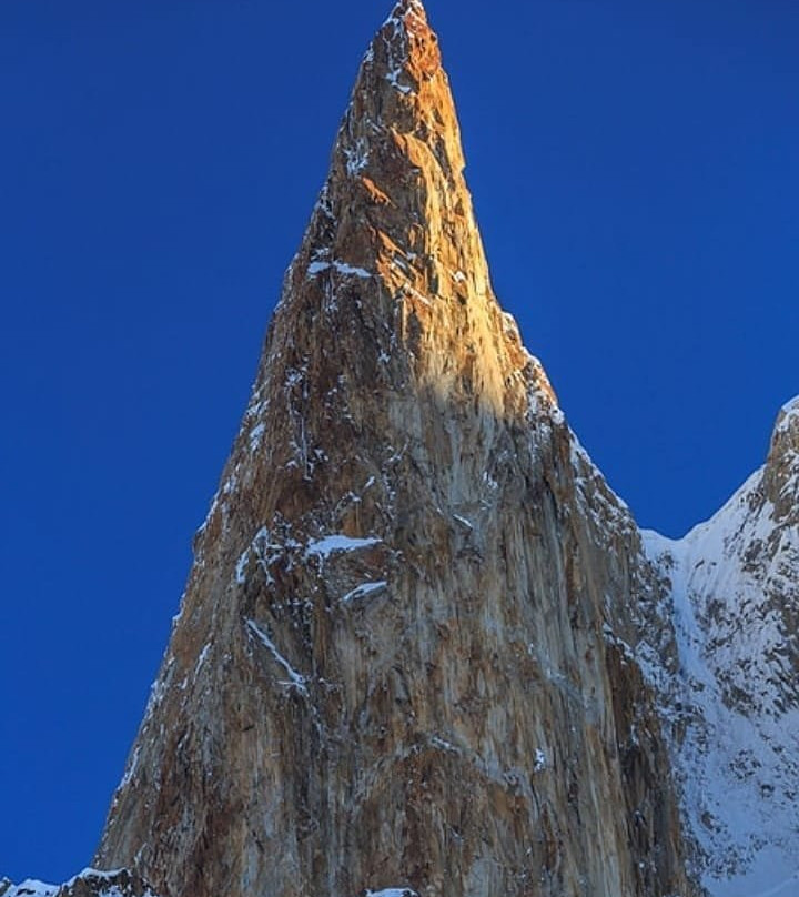 The Lady Finger Camps