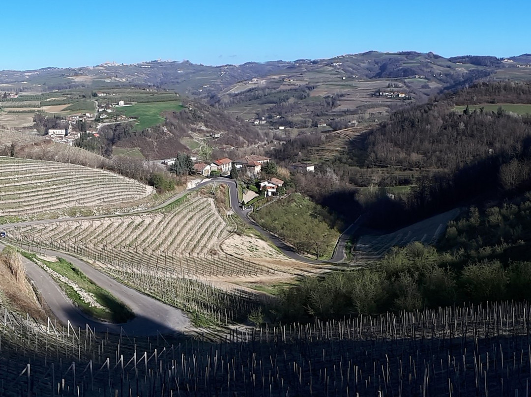 Azienda Agricola Rivetto景点图片