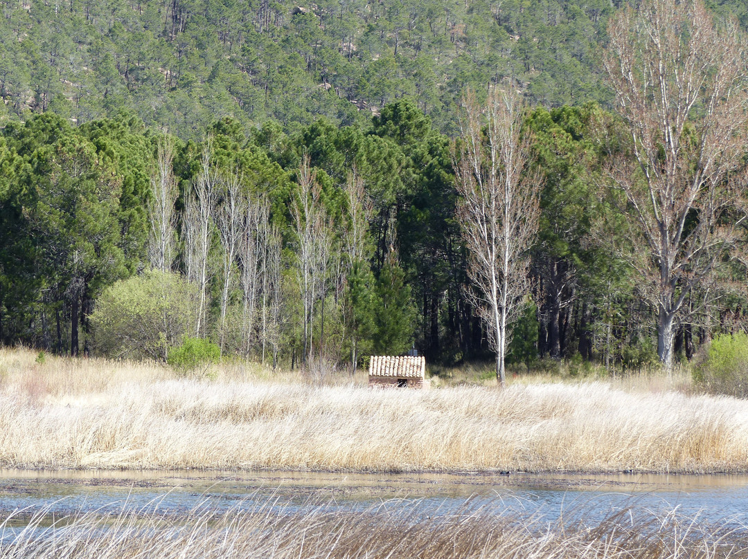 Laguna de Talayuelas景点图片