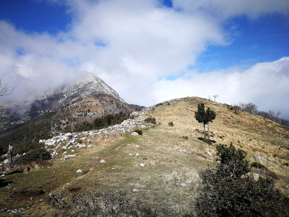 Monte Tre Calli景点图片