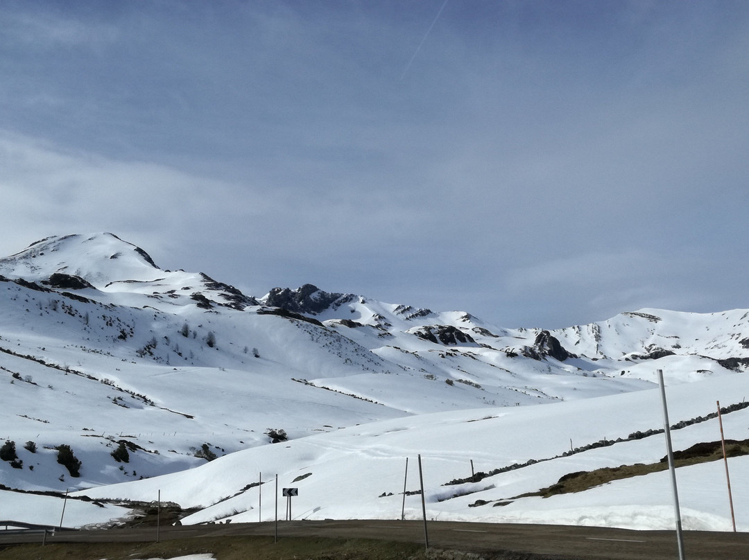 公鸡啼鸣酒店主图