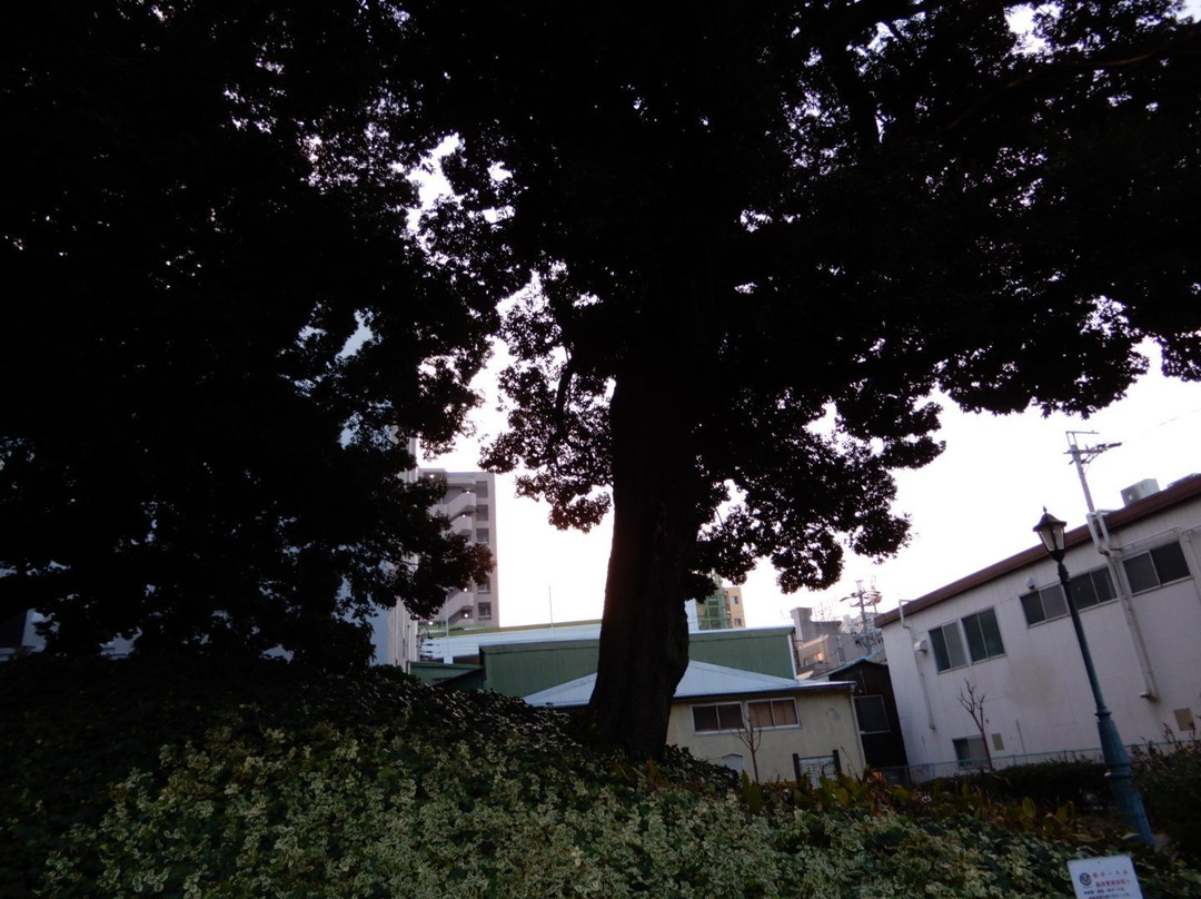Nagonoyama Ancient Tomb-Osu必去景点