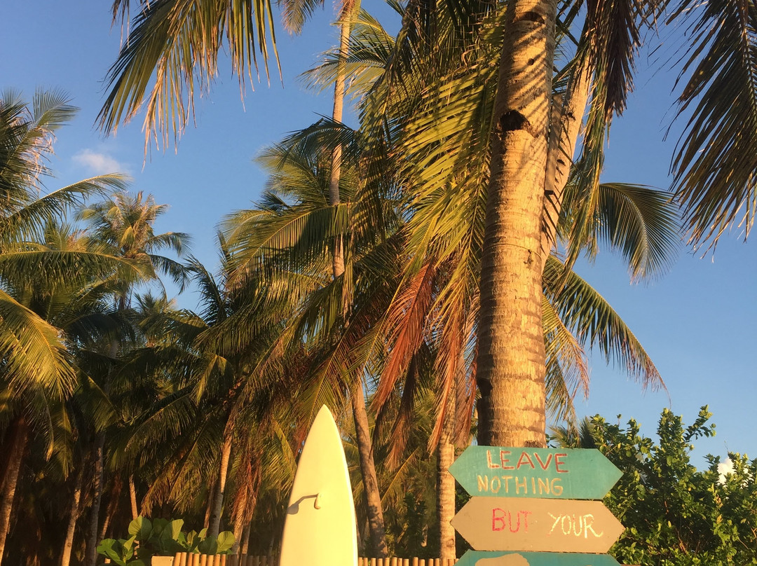 DaRosa Del Mar主图