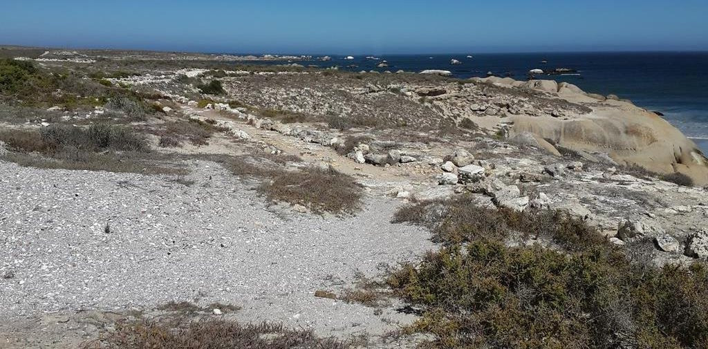 Shelley Bay Beach景点图片