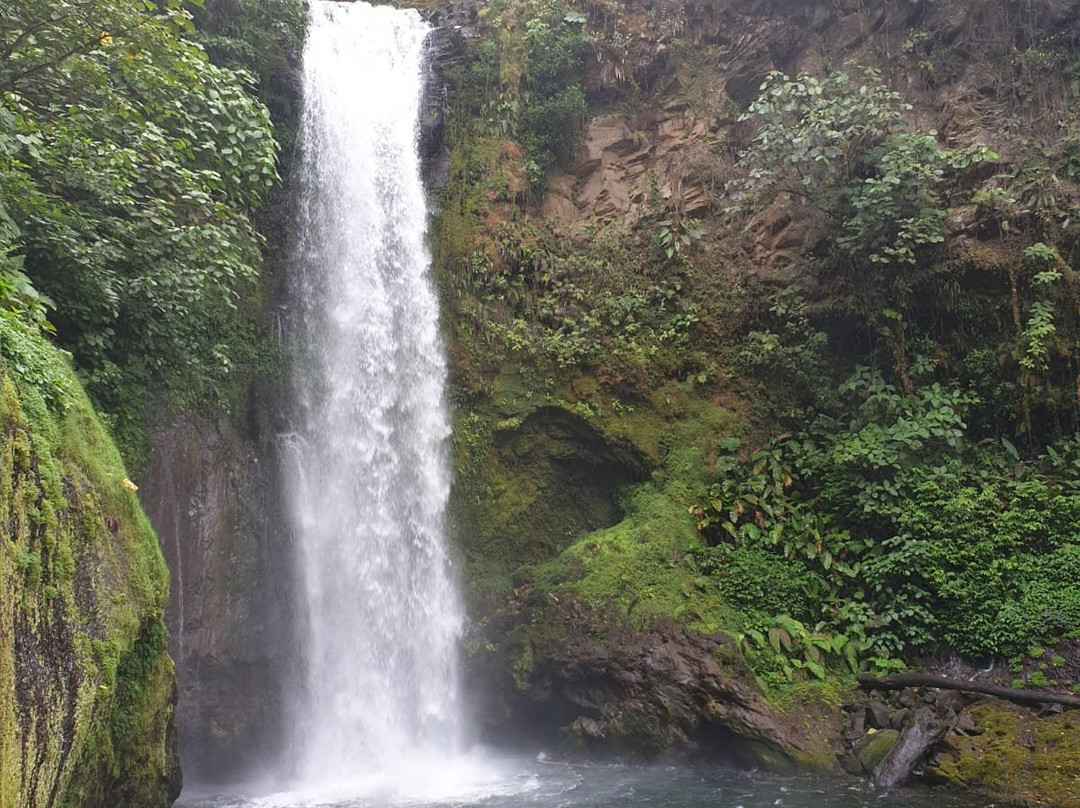 La Paz Waterfall Gardens景点图片