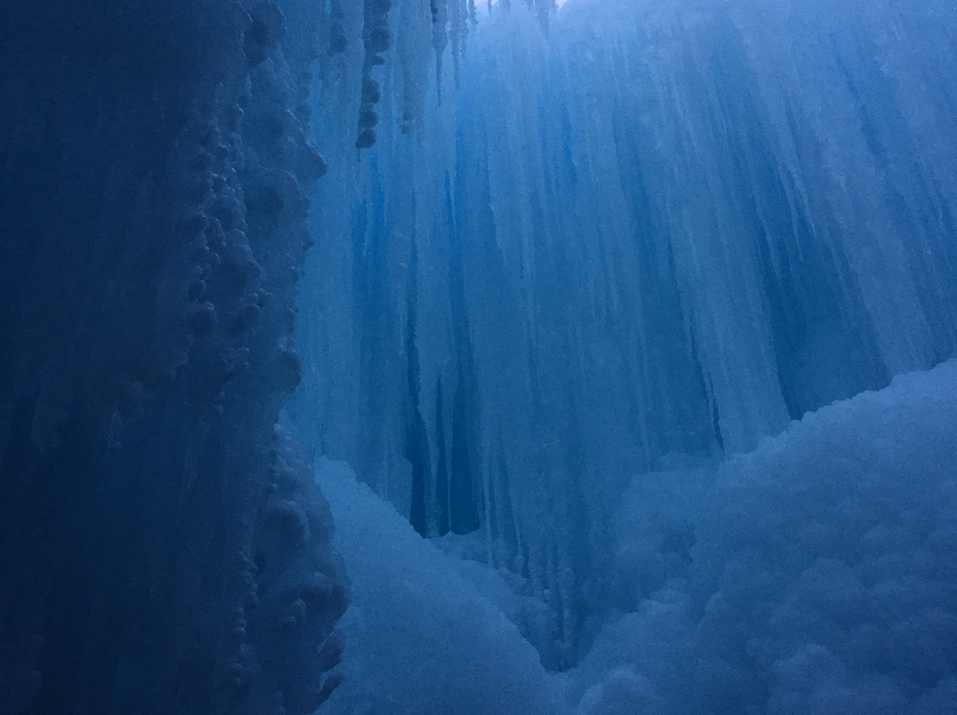 Excelsior Commons-Excelsior必去景点