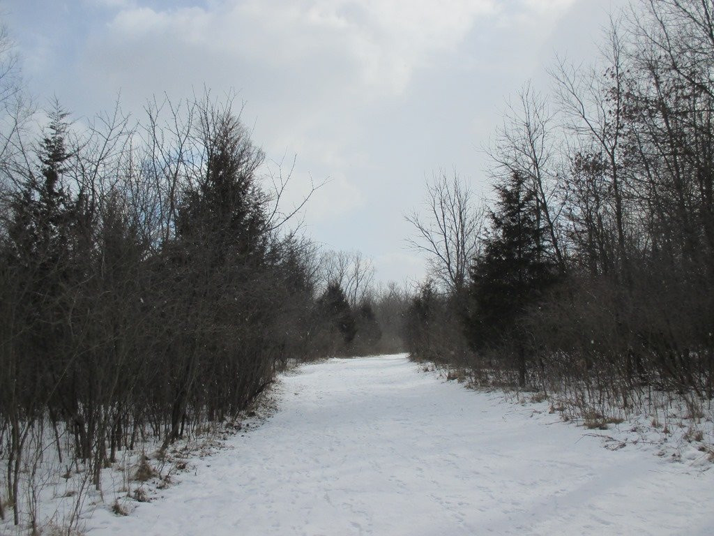 Huff Park-大急流市必去景点