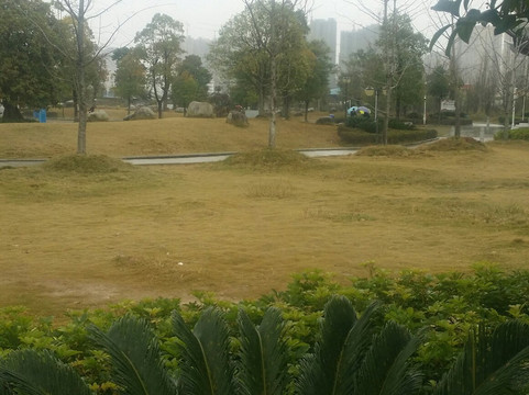 飞虎队遗址公园-桂林市必去景点