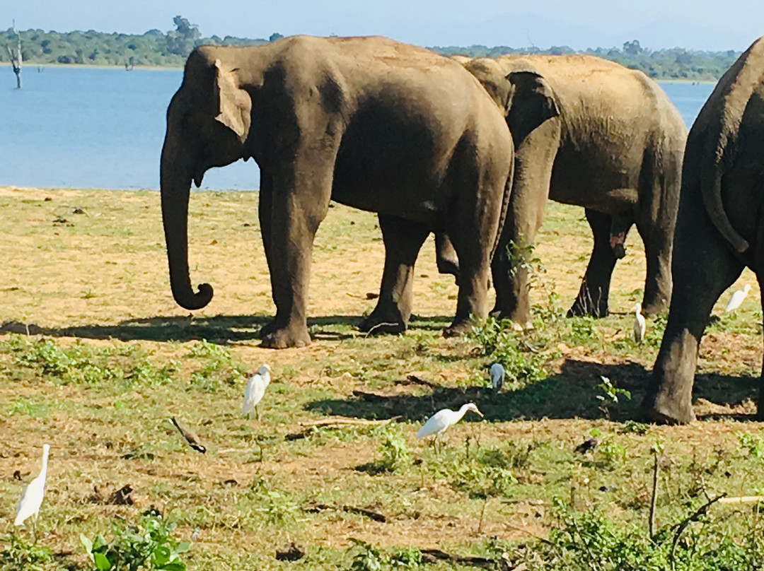 Sri Lanka Tour Guides景点图片