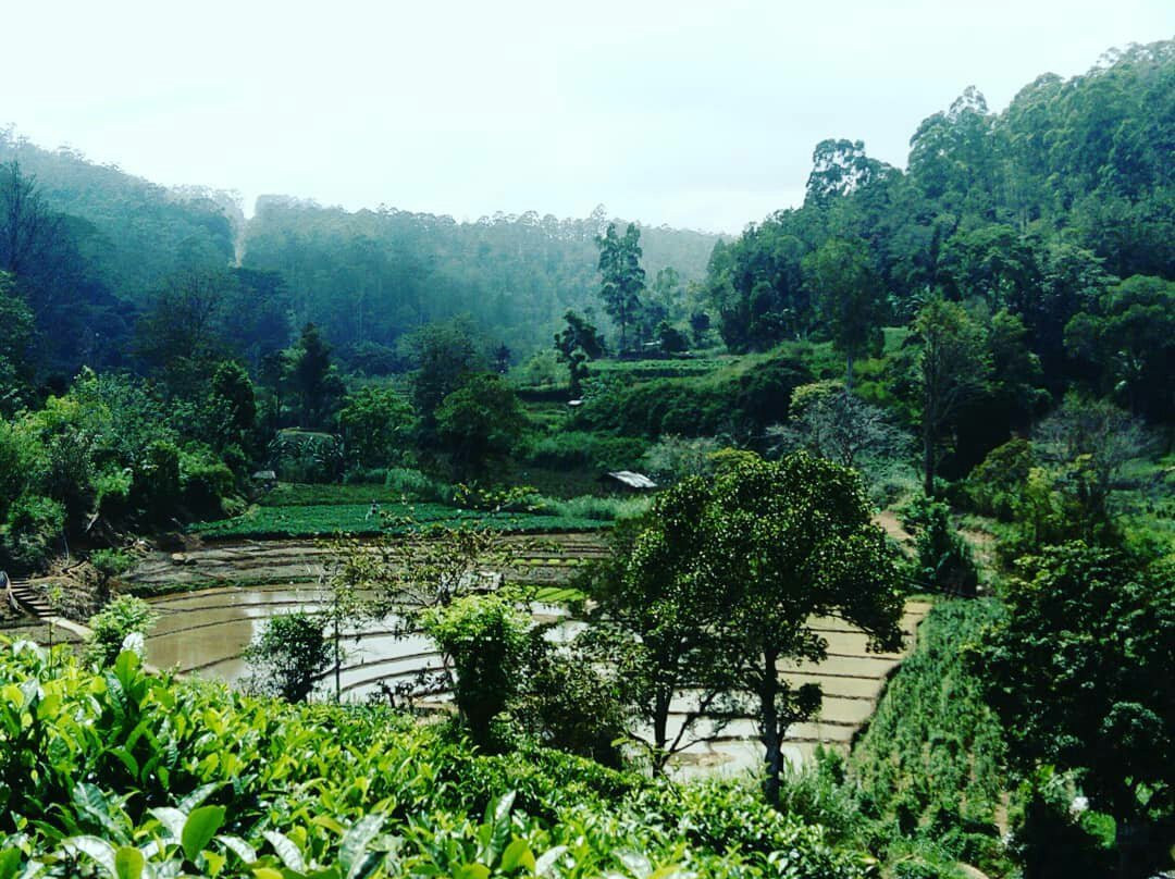 Idyll Ella Hiking-埃勒必去景点