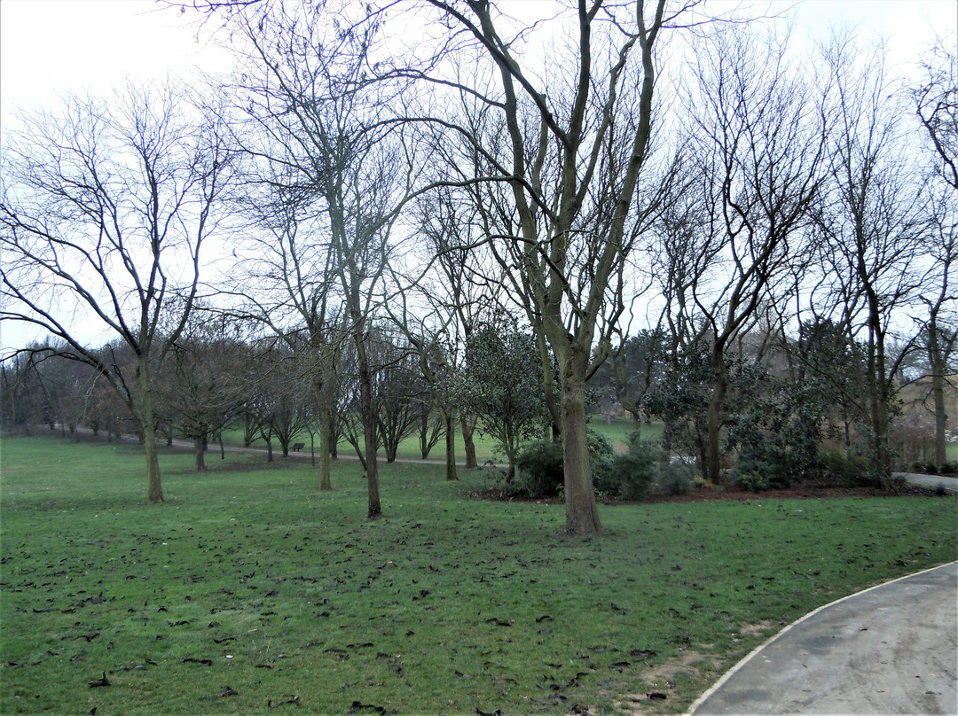 Parc du Plateau景点图片