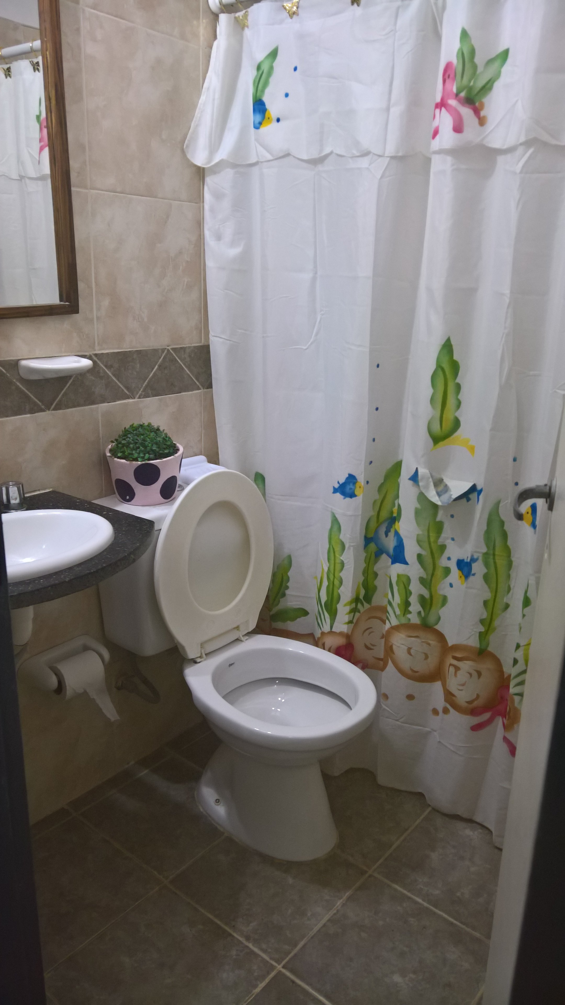 Are Pora Hotel-浴室