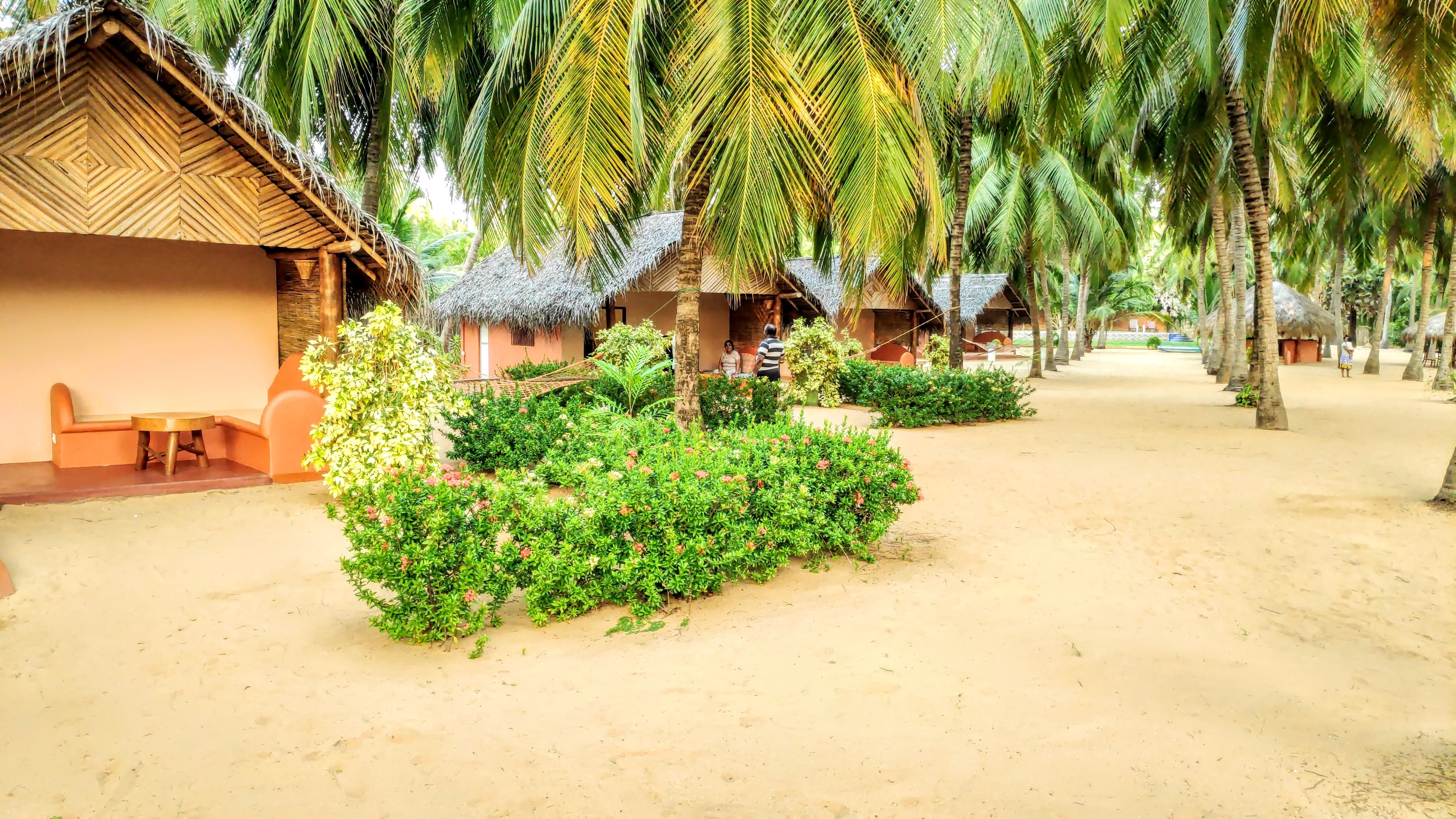 Roshanne Beach Resort-官方