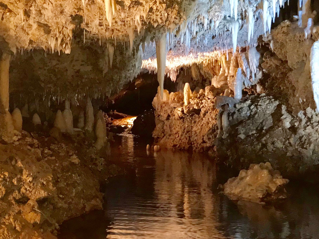 Harrison's Cave Eco-Adventure Park-Saint Thomas Parish必去景点