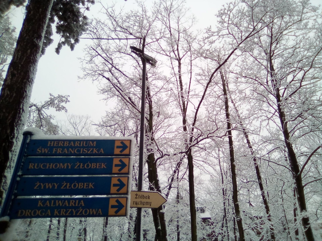 The Franciscan Monastery in Panewniki景点图片