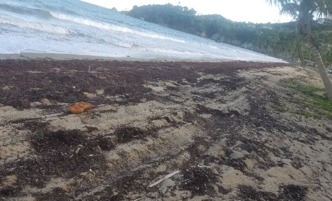 Playa Lucia景点图片