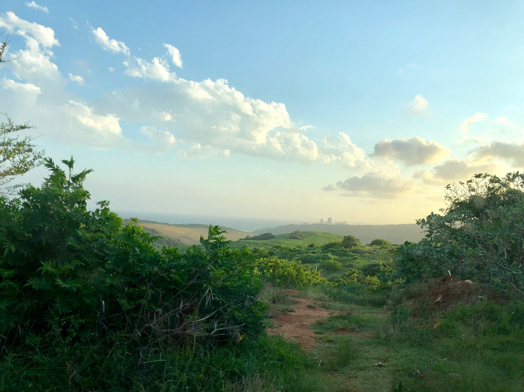 Trinity Tours-德班必去景点